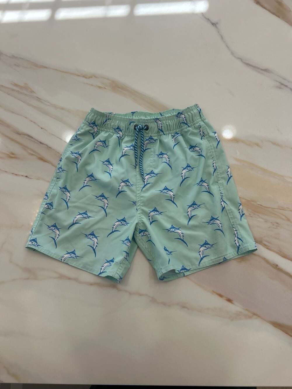 Class Club Big Boys Aqua Blue Swordfish Print Swim Trunks